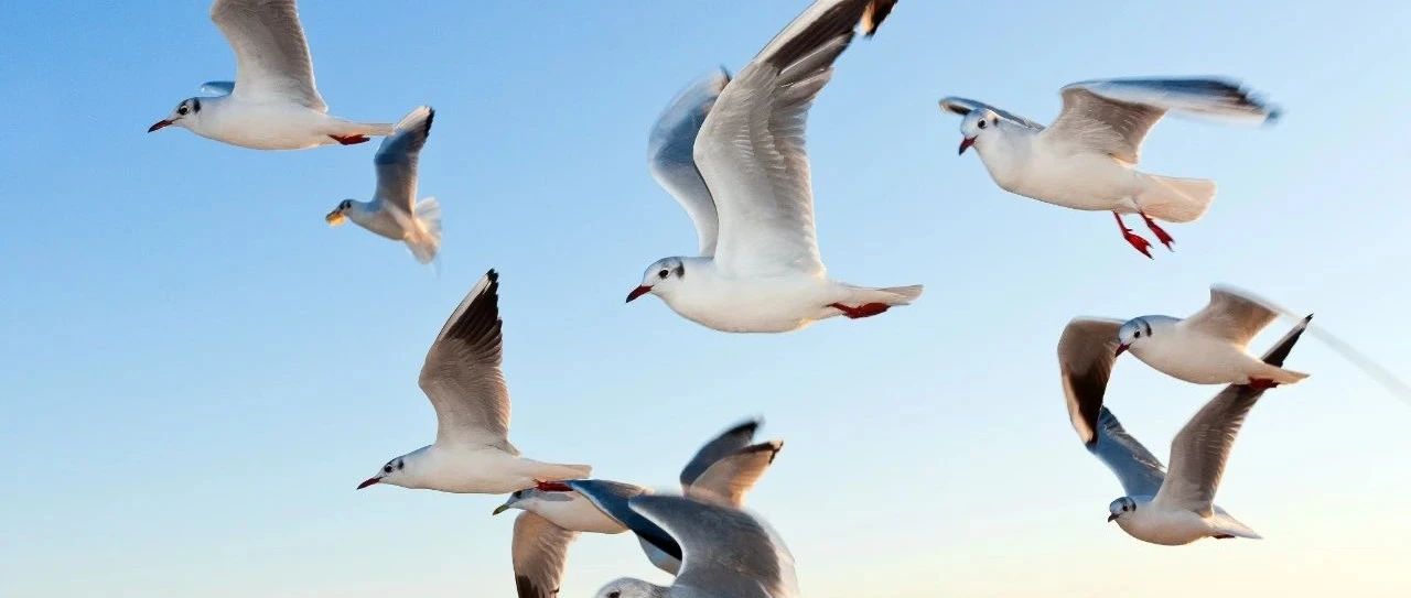 生物类似药“一致性评价”怎么做？已有省市发文2021生物药集采，会出现“自杀式”降价吗？
