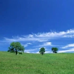 【共建健康环境，共享美好生活】 我倡议！