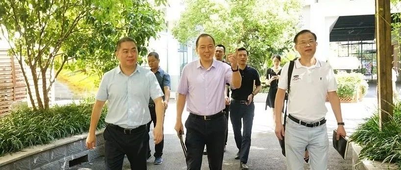 【聚焦】高境镇党委书记专题调研园区优秀重点企业优蓝国际