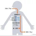 【Nature子刊 】贺福初/王建等揭示代谢综合征治疗的潜在靶标