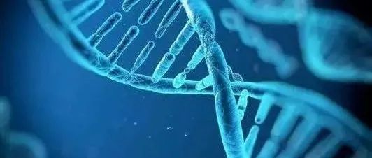 血友病基因疗法获FDA再生医学先进疗法资格认定
