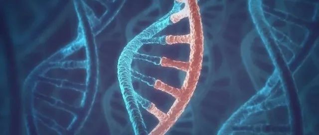 突破mRNA应用的局限，这一技术能带来新一代疗法吗？