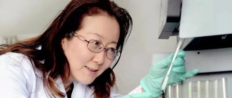 逐梦药谷 | 上海“最美科技工作者”柳红：面向人民生命健康，焕发新药研发之美