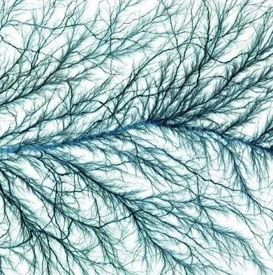 研究人员解开了植物免疫系统之谜
