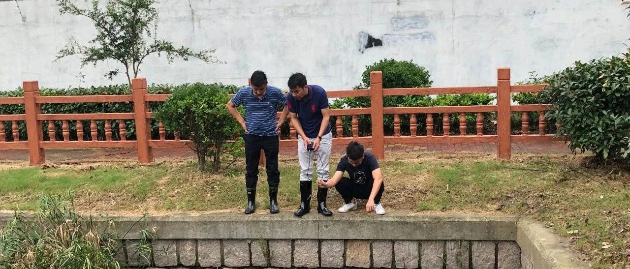 犯难，一条河两区管？微信群破僵局，九亭镇创新机制这样做