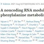 Science发现调节苯丙酮尿症的新因子