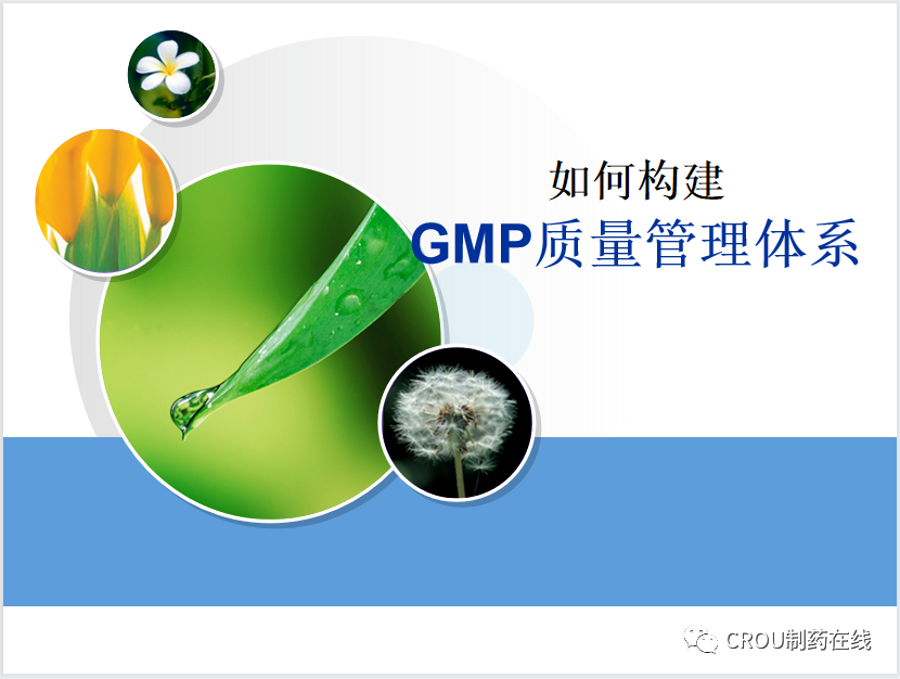 【干货】GMP质量管理体系