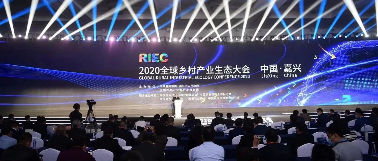 始终牢记殷殷嘱托，奋力打造统筹城乡典范！2020全球乡村产业生态大会在嘉兴开幕