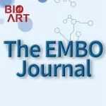 专家点评EMBO J | 方显杨组揭示葡萄球菌Bap蛋白经由相变形成功能性淀粉样纤维及介导生物被膜形成的调控机制