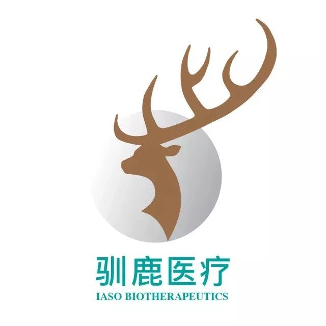 驯鹿医疗与信达生物合作开发的BCMA CAR-T获突破性治疗药物认定