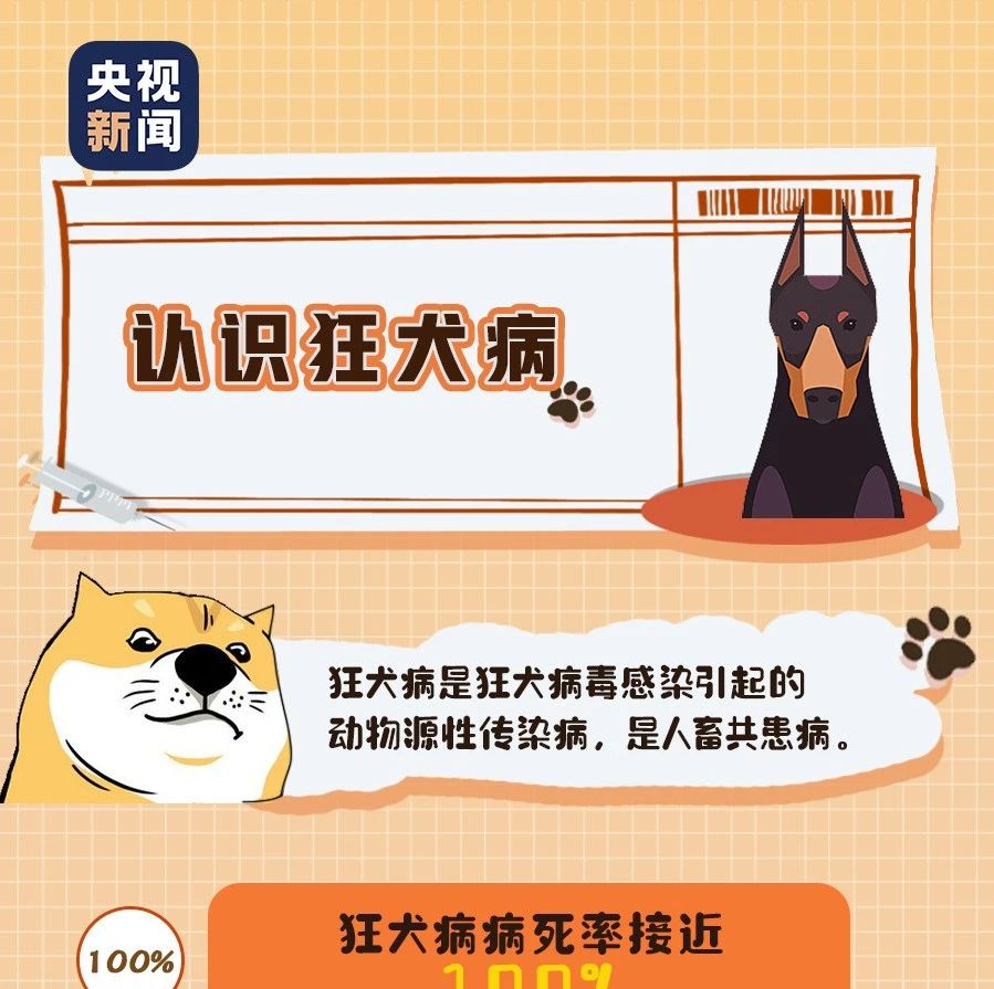 【关注】关于狂犬病的这些真相，你或许还未了解……