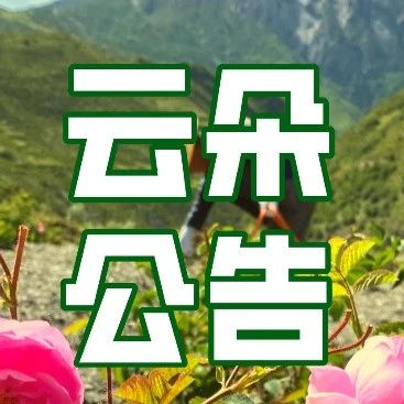 云朵公告|关于全新家庭装暂时断货的公告