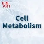 Cell Metabolism | 徐铭团队报道二型糖尿病治疗新策略