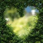 Nature Medicine：中国科学家研发出可改善心脏功能和组织修复的心脏外膜装置