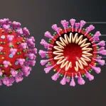 依生生物研发的皮卡重组蛋白新冠疫苗在阿联酋获批一期临床