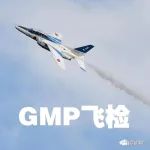 【收藏】GMP飞行检查重点
