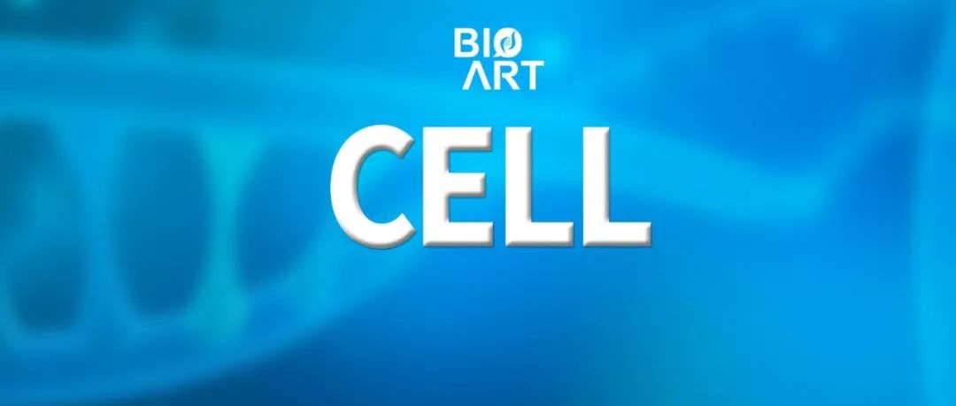 Cell | 肠道微生物指纹：傅静远团队揭示个体肠道微生物的遗传物质特异性及长期稳定性