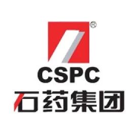 石药集团卢华辞任执行董事职务