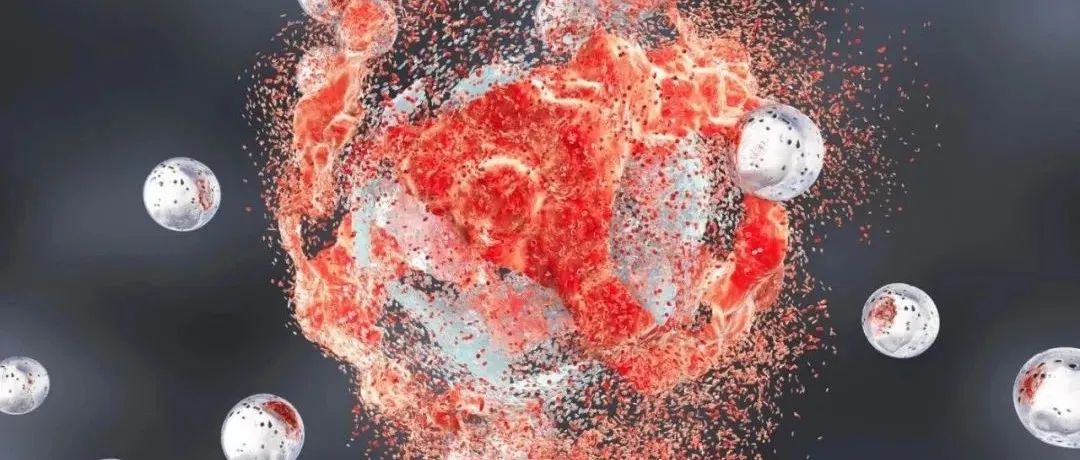 《自然通讯》：为什么成功杀死小鼠肿瘤的抗癌药，却止步于人体试验...