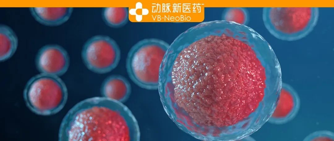 专访先博生物：有Pharma状态的Biotech，如何撑起与Orna的合作？