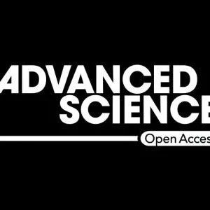 Adv Sci | 孙正/丁国莲合作报道环境因素的父系跨代遗传