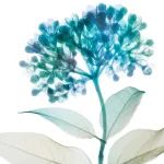 下一代基于植物的小分子药物的合成生物学公司完成7300万美元融资