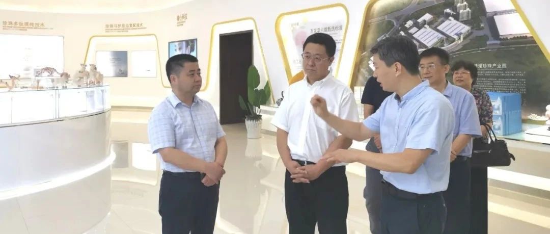 国家发改委常铁威副司长来湖就文旅新消费情况调研指导