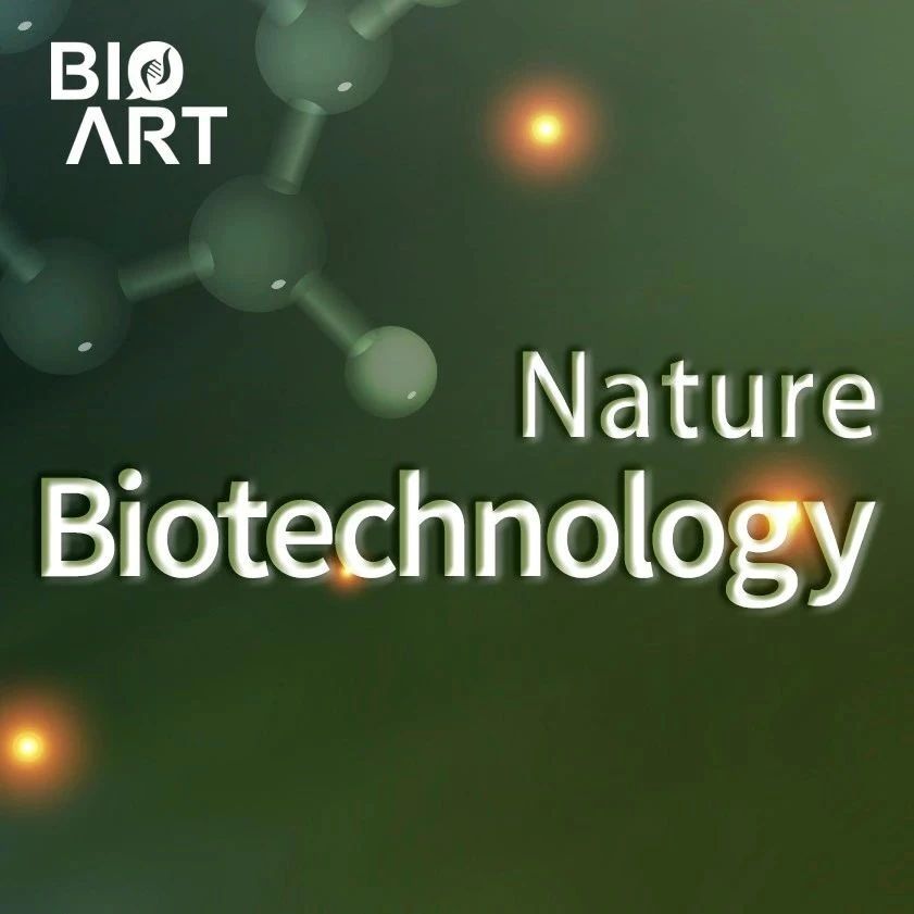 NBT | 单分子定位超分辨率成像新技术：L-DNA-PAINT