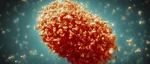 世界卫生组织关于猴痘的重要事实