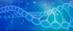 Cell子刊：新研究利用CRISPR-Cas9成功地对人单核细胞进行基因编辑