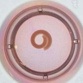 伊利诺伊大学团队开发新型4D可“变形”水凝胶，有望成为组织工程血管理想材料