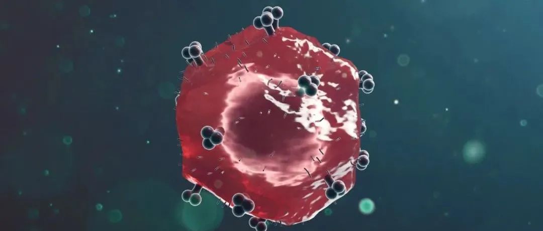 Science重磅：毒性更强、传播更快的HIV-1 B亚型突变株出没！