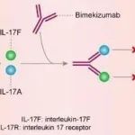 IL-17A/17F双效抑制剂Bimzelx 3期临床52周数据：持续改善症状和体征!