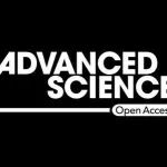 ​Adv Sci | 牛建钦/肖岚合作团队揭示少突胶质细胞调控的星胶网络发育在早期应激精神行为中的作用机制