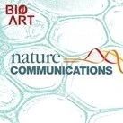 Nat Comm | 郑宁/姜道华团队揭示钠通道NaV1.5激活-失活偶联的结构基础
