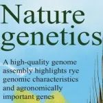 百迈客合作||Nature Genetics高质量黑麦基因组揭示重要的农艺基因