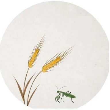 北京迈迪顶峰医疗科技有限公司宣布获得超过10亿元人民币的C轮融资