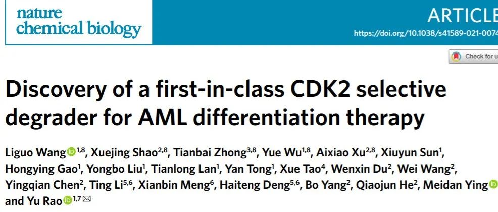 PROTAC新应用：成功降解CDK2 | Nature子刊最新成果