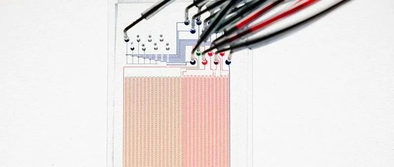 Science新技术：一张芯片可以同时检测数千种酶的突变