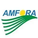 Amfora获得600万美元融资，推动基于植物的蛋白质革命