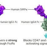 22.6 亿美元！辉瑞收购 Trillium Therapeutics，重金押注 CD47