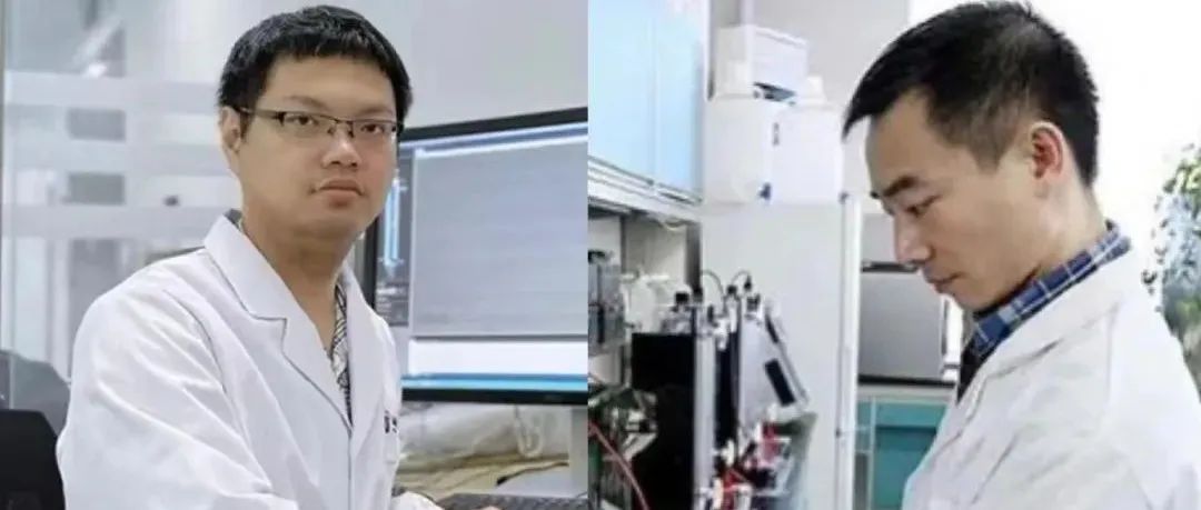 西湖大学与哈工大同期刊发表研究成果，分别揭示B淋巴细胞受体复合物的结构，为开发高效疫苗和癌症治疗药物提供结构基础