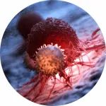 PD-1+TIGIT+CD40，三药联用清除胰腺癌，即将开展临床试验
