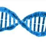 ​《PNAS》新研究：年纪越大越容易患癌？这一神秘基因或是“肇事者”