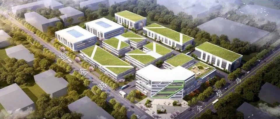 关于自贸区新片区西北门户—东方美谷小镇，你想知道的都在这