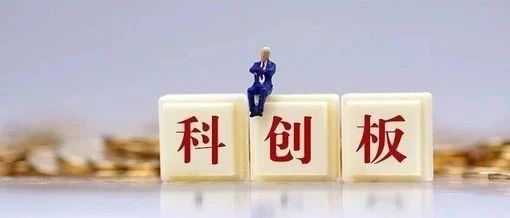 全国第一！科创板融资总额1135亿元，这39家上海企业表现强势！