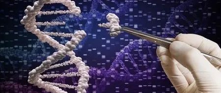 有望突破疾病治疗的极限，基因编辑新锐融资逾3亿美元