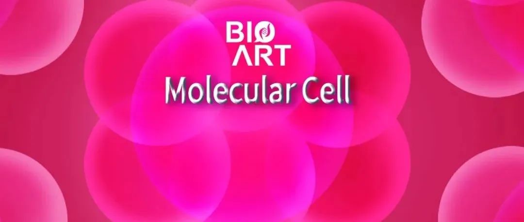 专家点评Mol Cell | 余发星课题组揭示Hippo信号通路核心调控机制及肿瘤靶向治疗新策略