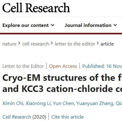 Cell Res | 重大进展！西湖大学周强团队揭示全长人KCC2和KCC3结构