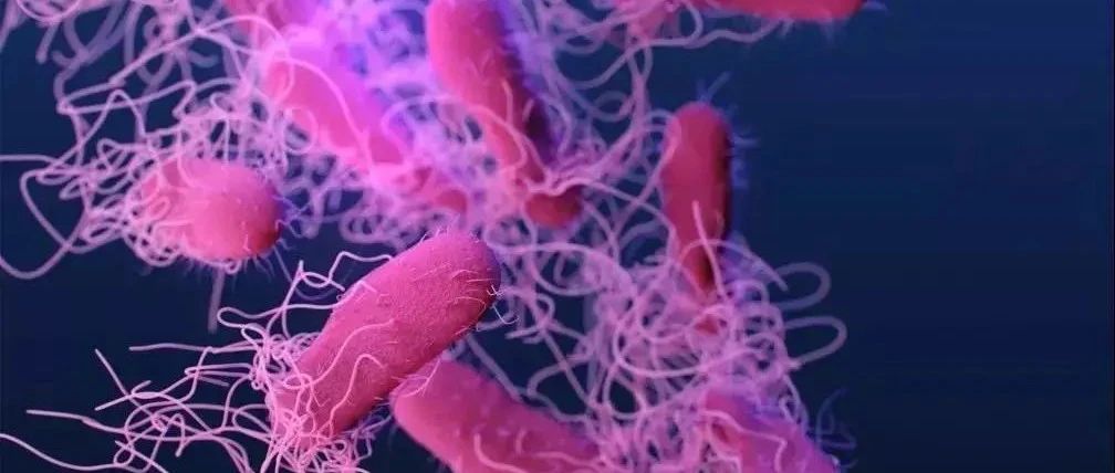 【盘点】肠道微生物领域最新研究进展